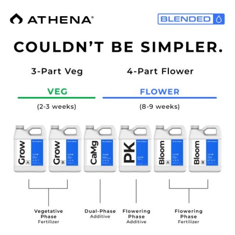 athena blended starter kit-2